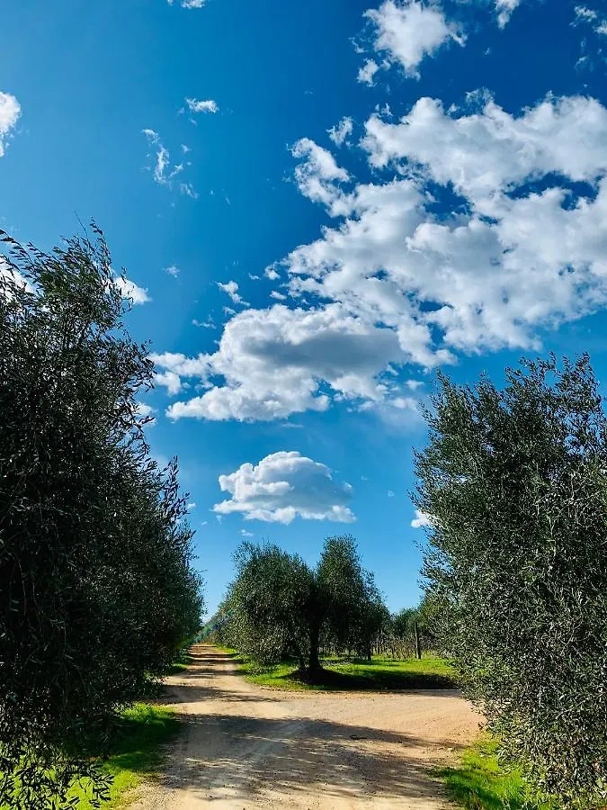 Tenuta Agricola Fraschiera Villa Massa Marittima Farm stay