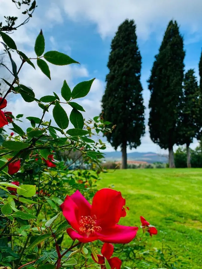 Farm stay Tenuta Agricola Fraschiera Villa Massa Marittima